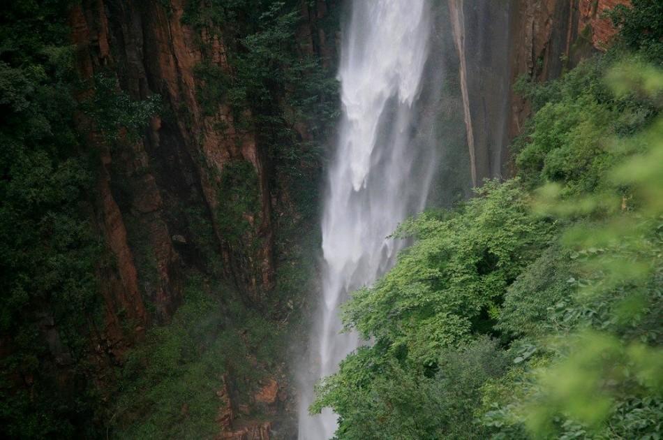 虫虫助手下载